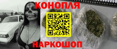 СК Лесосибирск