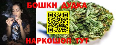 СК Лесосибирск