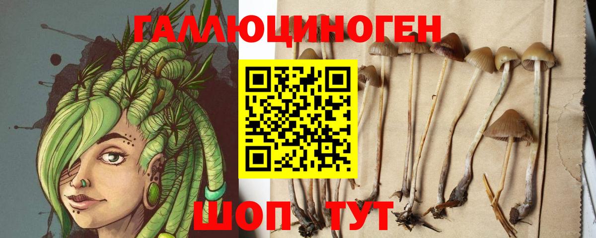 Галлюциногенные грибы Psilocybe Среднеуральск