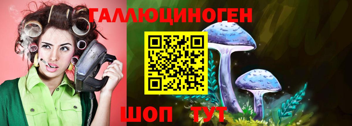 Псилоцибиновые грибы Magic Shrooms  где можно купить наркотик  Среднеуральск  Вход с VPN  Галлюциногенные грибы Cubensis 